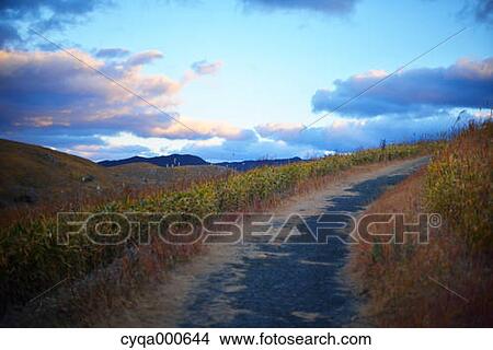 Picture - Yamaguchi Prefecture, Japan. Fotosearch