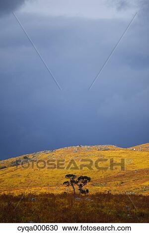 Stock Image - Yamaguchi Prefecture, Japan. Fotosearch
