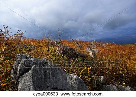 Stock Image - Yamaguchi Prefecture, Japan. Fotosearch