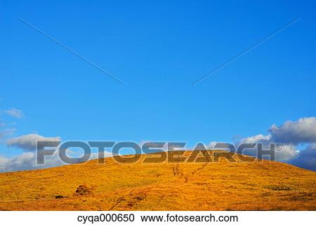 Yamaguchi Prefecture, Japan View Large Photo Image Stock Image - Yamaguchi Prefecture, Japan. Fotosearch