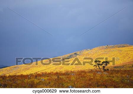 Stock Photo - Yamaguchi Prefecture, Japan. Fotosearch