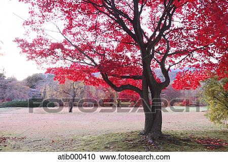 Stock Image - Yamanashi Prefecture, Japan. Fotosearch