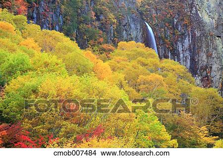 Picture - Yonago Falls, Nagano Prefecture. Fotosearch