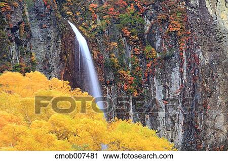 Stock Image - Yonago Falls, Nagano Prefecture. Fotosearch