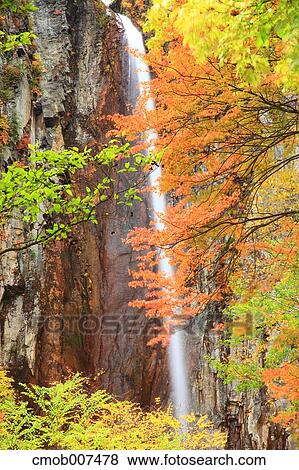 Yonago Falls, Nagano Prefecture View Large Photo Image Stock Photo - Yonago Falls, Nagano Prefecture. Fotosearch