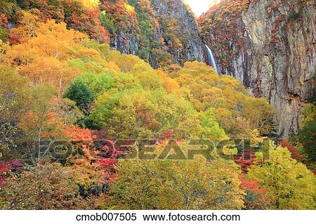Yonago Falls, Nagano Prefecture View Large Photo Image Stock Photography - Yonago Falls, Nagano Prefecture. Fotosearch