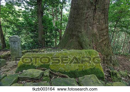 Picture - Yoshino Kumano National Park, Wakayama Prefecture. Fotosearch