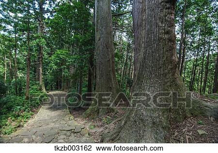 Stock Image - Yoshino Kumano National Park, Wakayama Prefecture. Fotosearch