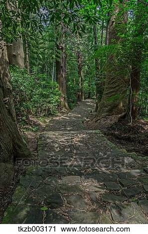 Yoshino Kumano National Park, Wakayama Prefecture View Large Photo Image Stock Image - Yoshino Kumano National Park, Wakayama Prefecture. Fotosearch