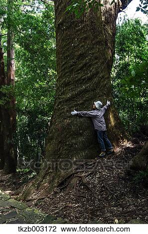 Yoshino Kumano National Park, Wakayama Prefecture View Large Photo Image Stock Image - Yoshino Kumano National Park, Wakayama Prefecture. Fotosearch