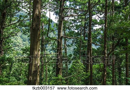 Stock Photo - Yoshino Kumano National Park, Wakayama Prefecture. Fotosearch