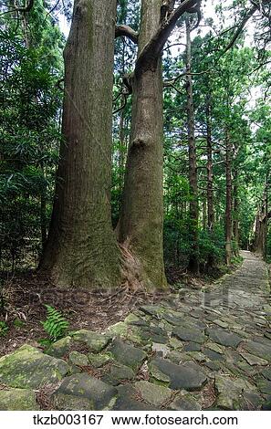 Stock Photo - Yoshino Kumano National Park, Wakayama Prefecture. Fotosearch
