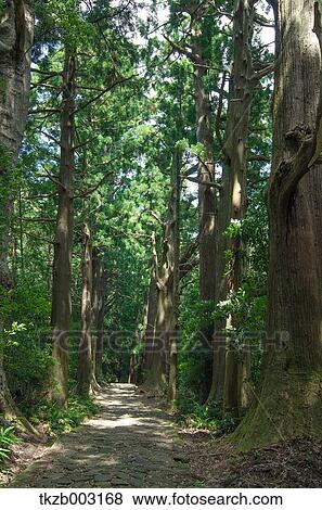 Yoshino Kumano National Park, Wakayama Prefecture View Large Photo Image Stock Photo - Yoshino Kumano National Park, Wakayama Prefecture. Fotosearch
