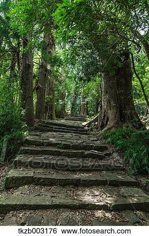 Stock Photograph - Yoshino Kumano National Park, Wakayama Prefecture. Fotosearch