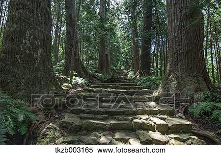 Yoshino Kumano National Park, Wakayama Prefecture View Large Photo Image Stock Photography - Yoshino Kumano National Park, Wakayama Prefecture. Fotosearch