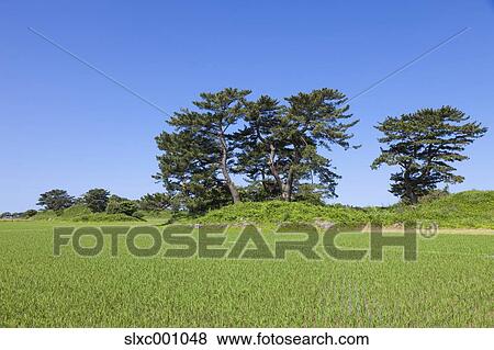 Akita Prefecture, Japan View Large Photo Image Stock Photo - Akita Prefecture, Japan. Fotosearch