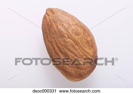 Stock Image - Almond. Fotosearch