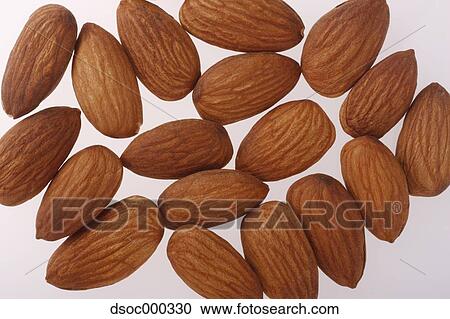 Almonds View Large Photo Image Stock Image - Almonds. Fotosearch