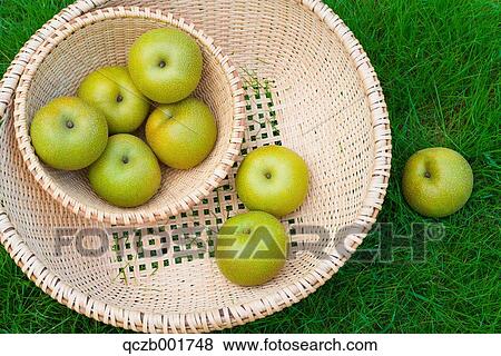 Asian Pears View Large Photo Image Stock Photo - Asian Pears. Fotosearch