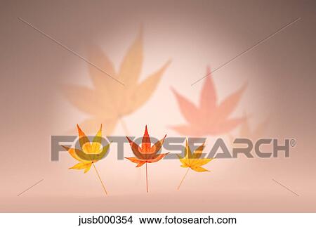 Autumn leaves View Large Photo Image Picture - Autumn leaves. Fotosearch