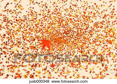 Autumn leaves View Large Photo Image Stock Photo - Autumn leaves. Fotosearch