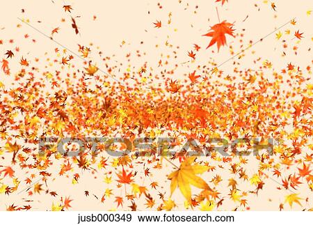 Autumn leaves View Large Photo Image Stock Photo - Autumn leaves. Fotosearch