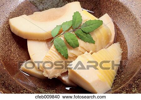Bamboo Shoots View Large Photo Image Stock Image - Bamboo Shoots. Fotosearch