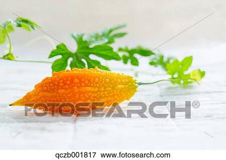 Bitter Gourd View Large Photo Image Stock Photo - Bitter Gourd. Fotosearch