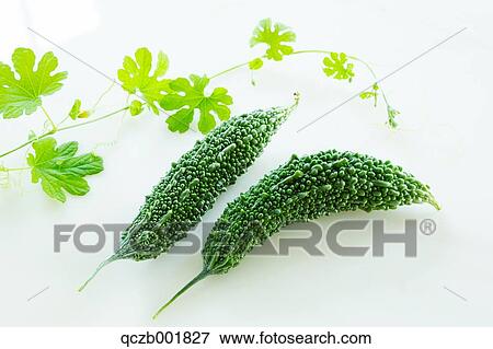 Bitter Gourd View Large Photo Image Stock Photo - Bitter Gourd. Fotosearch