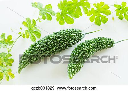 Stock Photo - Bitter Gourd. Fotosearch