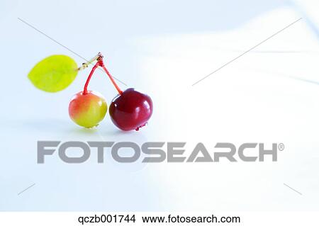 Blueberries View Large Photo Image Picture - Blueberries. Fotosearch