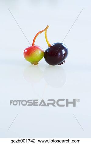 Blueberries View Large Photo Image Stock Image - Blueberries. Fotosearch