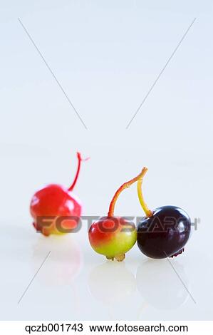 Blueberries View Large Photo Image Stock Image - Blueberries. Fotosearch