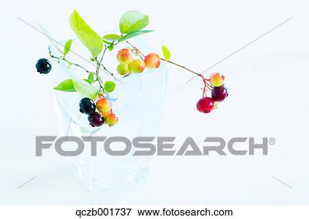 Blueberries View Large Photo Image Stock Photo - Blueberries. Fotosearch