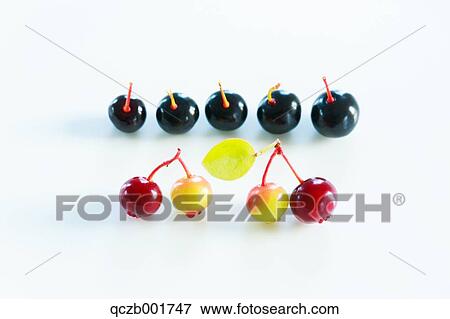 Blueberries View Large Photo Image Stock Photo - Blueberries. Fotosearch