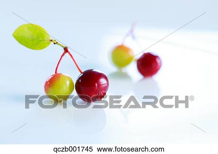 Blueberries View Large Photo Image Stock Photography - Blueberries. Fotosearch