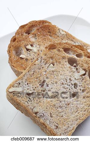 Bread View Large Photo Image Stock Photo - Bread. Fotosearch