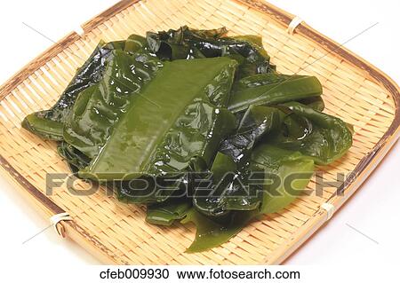 Brown seaweed View Large Photo Image Stock Image - Brown seaweed. Fotosearch