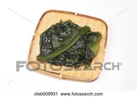 Stock Image - Brown seaweed. Fotosearch