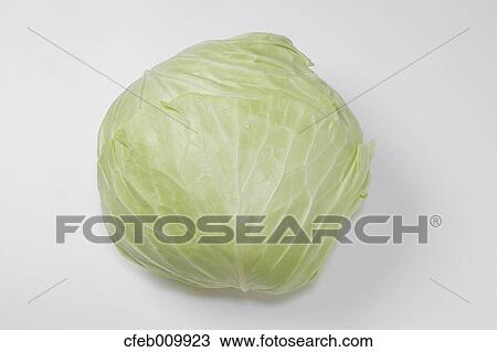 Cabbage View Large Photo Image Stock Image - Cabbage. Fotosearch