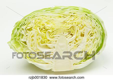 Cabbage View Large Photo Image Stock Image - Cabbage. Fotosearch