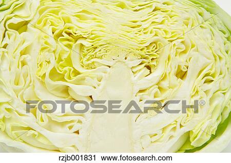 Stock Image - Cabbage. Fotosearch