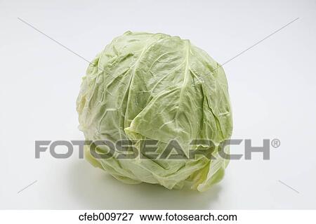 Cabbage View Large Photo Image Stock Photo - Cabbage. Fotosearch