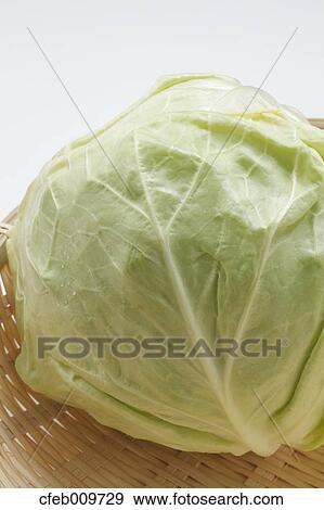 Cabbage View Large Photo Image Stock Photo - Cabbage. Fotosearch