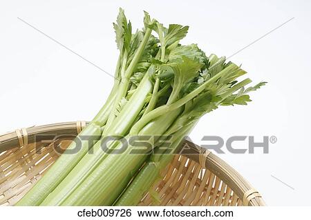 Celery View Large Photo Image Stock Photograph - Celery. Fotosearch