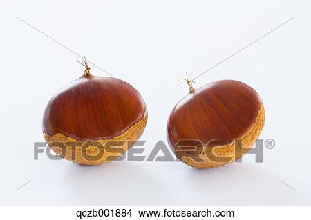 Chestnuts View Large Photo Image Picture - Chestnuts. Fotosearch