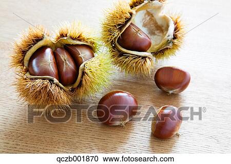 Stock Image - Chestnuts. Fotosearch