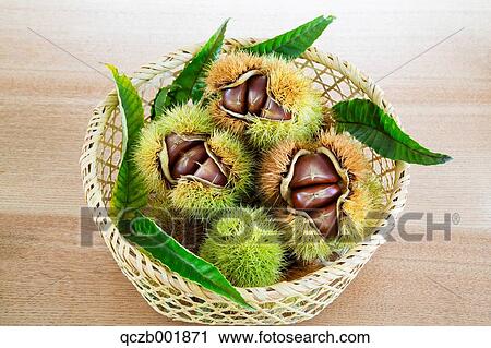 Chestnuts View Large Photo Image Stock Image - Chestnuts. Fotosearch