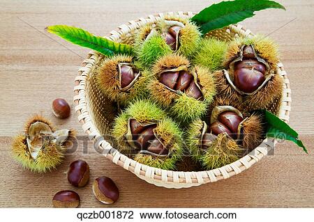 Chestnuts View Large Photo Image Stock Image - Chestnuts. Fotosearch
