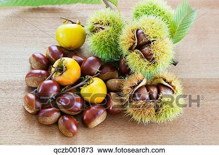 Chestnuts View Large Photo Image Stock Image - Chestnuts. Fotosearch